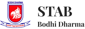 STAB Bodhi Dharma